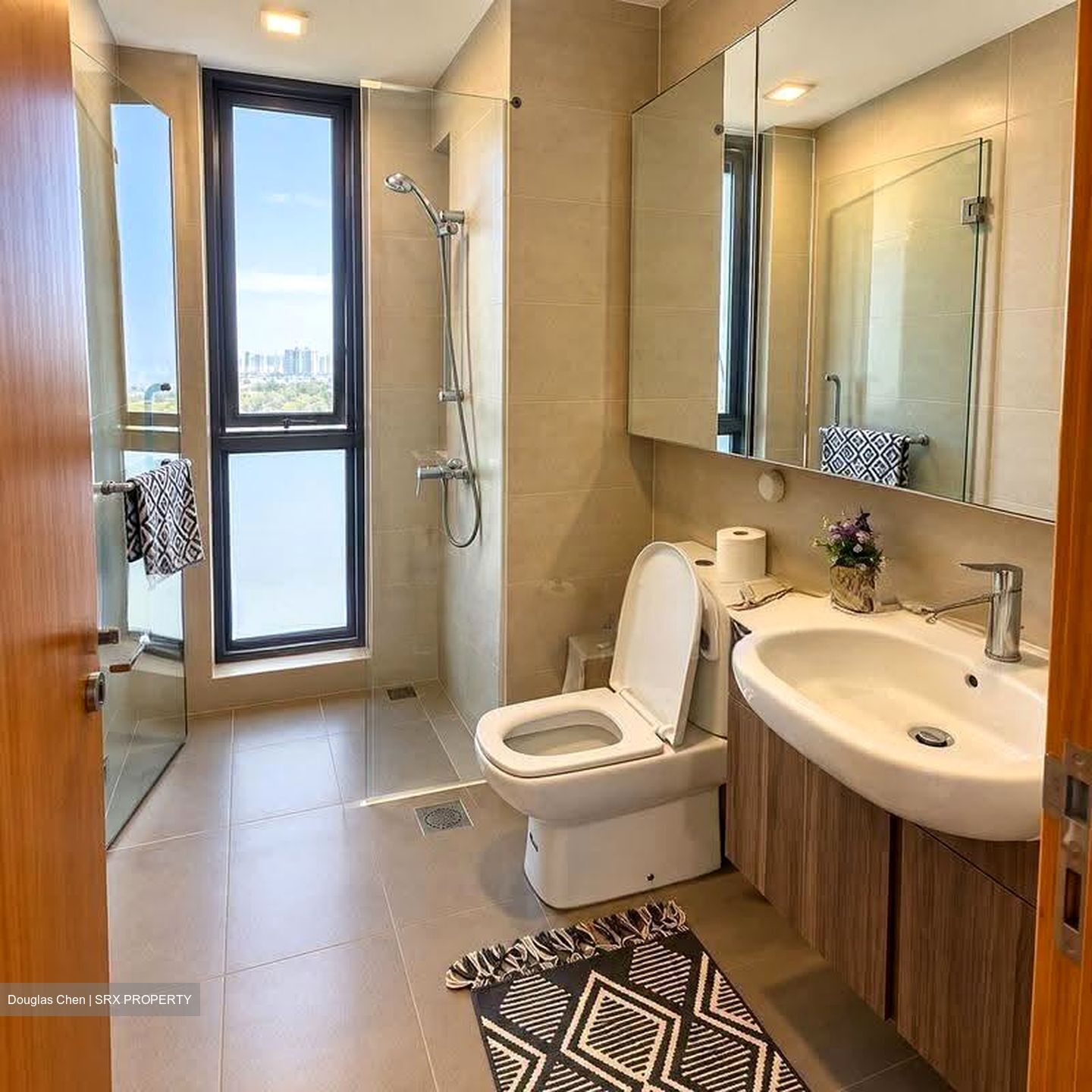 Waterbank at Dakota (D14), Condominium #628868051